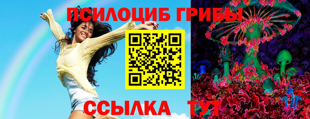 Нурлат  Псилоцибиновые грибы прущие грибы  Вход с VPN 